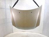 Motorhaube