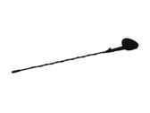 Radion antenni