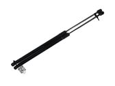 Tailgate strut