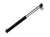 Tailgate strut