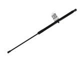 Front bonnet/hood damper/strut