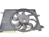 Electric radiator cooling fan