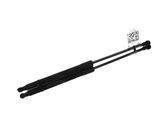 Tailgate strut