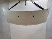 Motorhaube