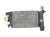 Intercooler radiator