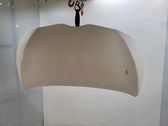 Motorhaube