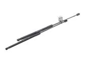 Tailgate strut