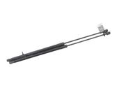 Tailgate strut