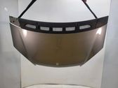 Engine bonnet/hood