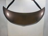 Motorhaube