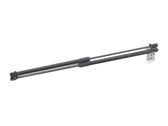 Tailgate strut