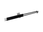 Tailgate strut