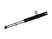 Tailgate strut