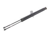 Tailgate strut