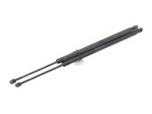 Tailgate strut