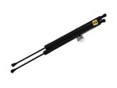Tailgate strut