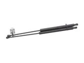 Tailgate strut