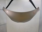 Motorhaube