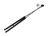 Tailgate strut