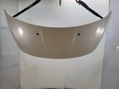 Motorhaube