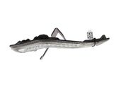 LED Daytime headlight