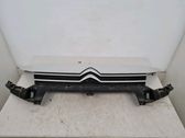 Front bumper upper radiator grill
