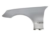 Fender