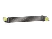 Intercooler radiator