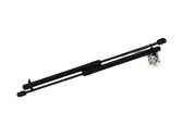 Tailgate strut