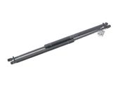 Tailgate strut