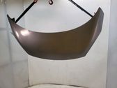 Dangtis variklio (kapotas)