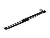 Tailgate strut