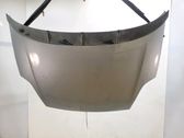 Engine bonnet/hood