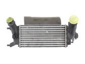Intercooler radiator