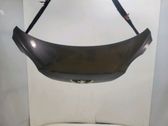 Motorhaube