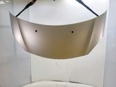 Engine bonnet/hood