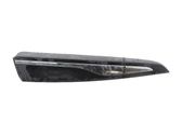 Rear door trim (molding)