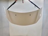 Engine bonnet/hood