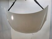 Engine bonnet/hood