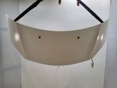 Dangtis variklio (kapotas)