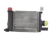 Intercooler radiator
