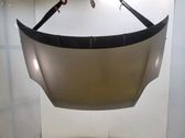Engine bonnet/hood