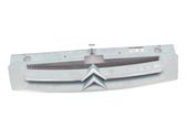 Front bumper upper radiator grill