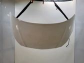 Engine bonnet/hood