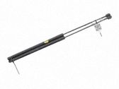 Tailgate strut