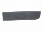 Listón embellecedor de la puerta delantera (moldura)