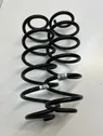 Rear coil spring