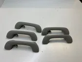 Front interior roof grab handle