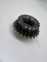 Fuel pump gear (pulley)