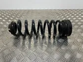 Rear coil spring